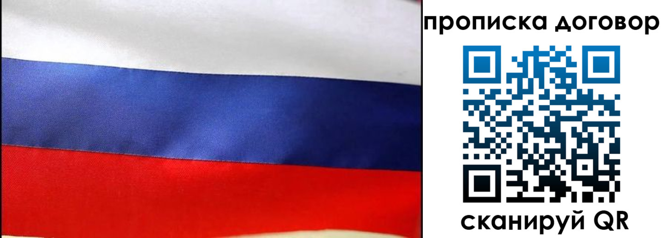 прописка гарантия в Емве
