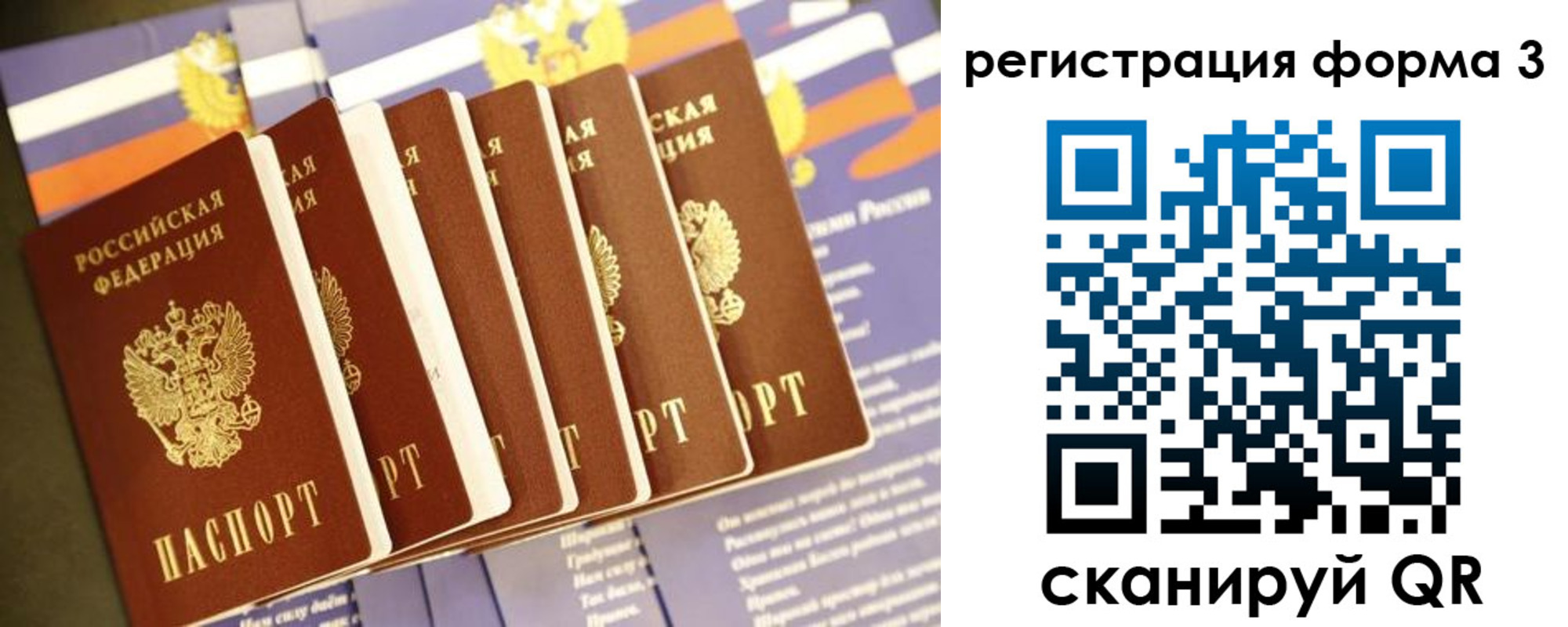 прописка поиск в Емве